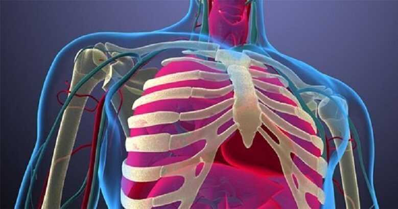 Göğüs Cerrahisi Arıza Dilimleri ve Görevlendirme Çizelgeleri