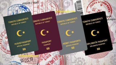 Pasaport Çeşitleri Nelerdir ve Hangi Pasaport Kimlere Verilir