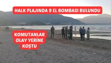 Halk Plajında 9 El Bombası Bulundu