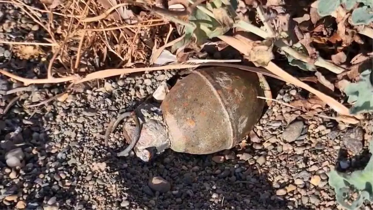 Askeri Personel 10 bursa orhangazide patlamamis el bombasi panigi BdsHntmT